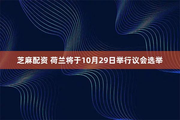 芝麻配资 荷兰将于10月29日举行议会选举