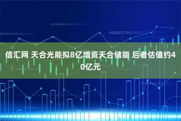 信汇网 天合光能拟8亿增资天合储能 后者估值约40亿元