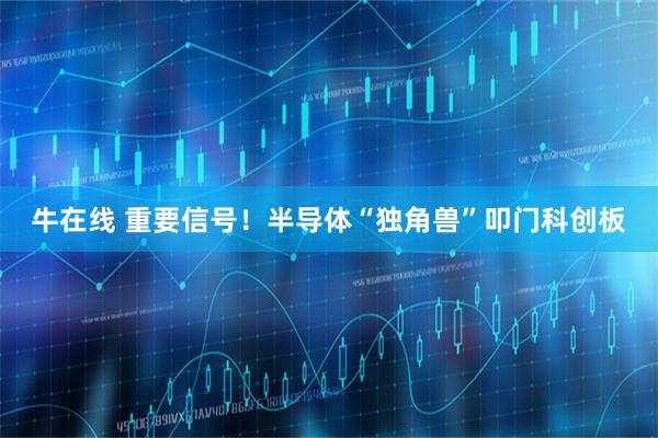 牛在线 重要信号！半导体“独角兽”叩门科创板