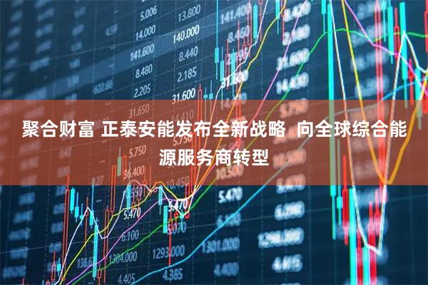聚合财富 正泰安能发布全新战略  向全球综合能源服务商转型