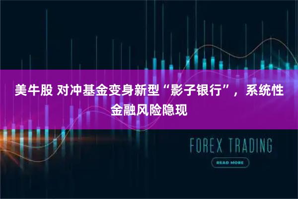 美牛股 对冲基金变身新型“影子银行”，系统性金融风险隐现