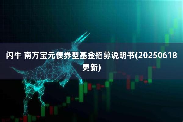 闪牛 南方宝元债券型基金招募说明书(20250618更新)
