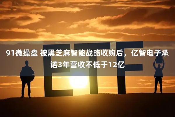 91微操盘 被黑芝麻智能战略收购后，亿智电子承诺3年营收不低于12亿