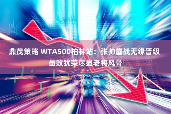 鼎茂策略 WTA500柏林站：张帅鏖战无缘晋级 虽败犹荣尽显老将风骨